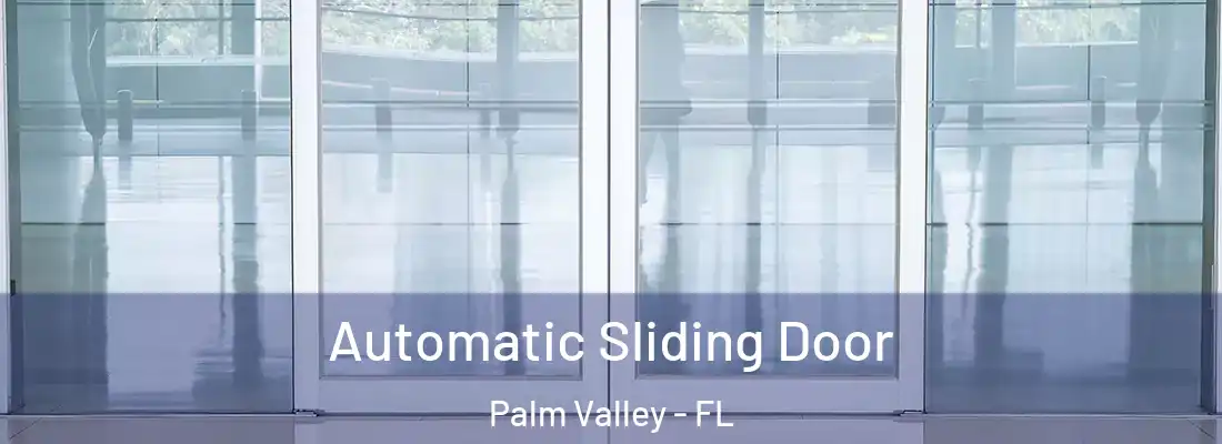  Automatic Sliding Door Palm Valley - FL
