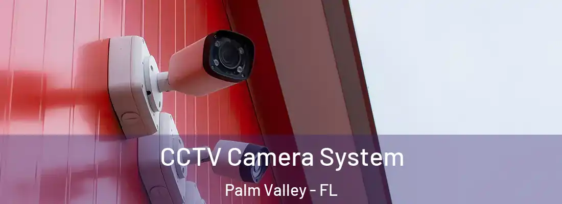  CCTV Camera System Palm Valley - FL