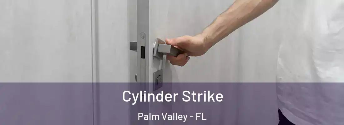 Cylinder Strike Palm Valley - FL