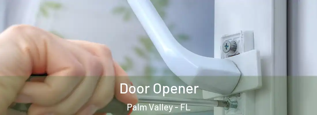  Door Opener Palm Valley - FL