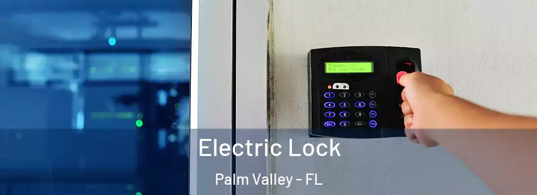 Electric Lock Palm Valley - FL