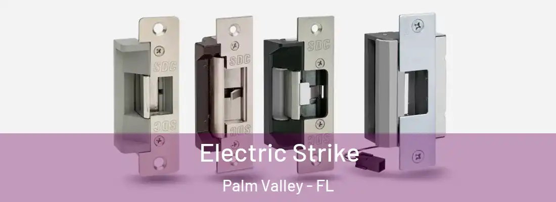  Electric Strike Palm Valley - FL