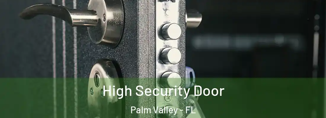  High Security Door Palm Valley - FL