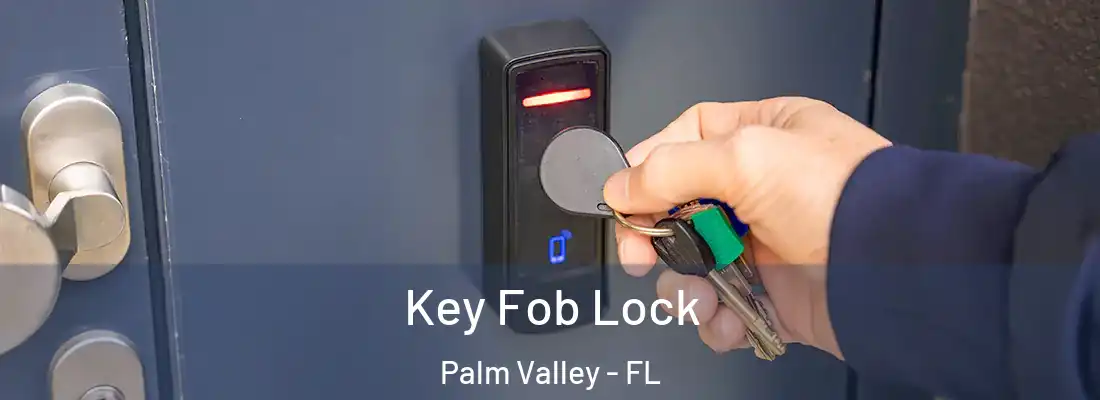 Key Fob Lock Palm Valley - FL