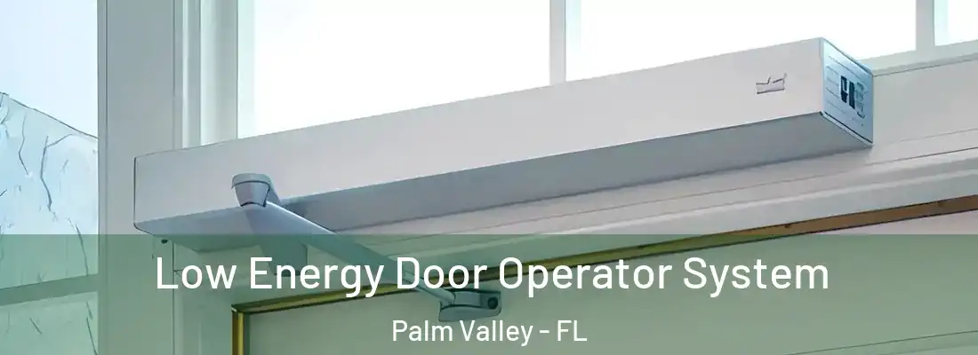 Low Energy Door Operator System Palm Valley - FL