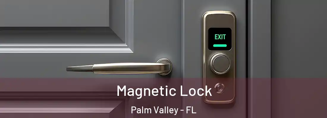 Magnetic Lock Palm Valley - FL